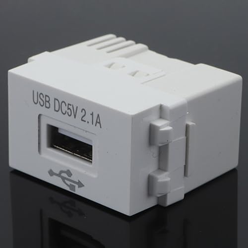 Iegefirm Handy-Ladepanel 220V-Buchse 5V-Transformator 2,1A USB-Ladesteckdose Schaltadapter 1 Stück