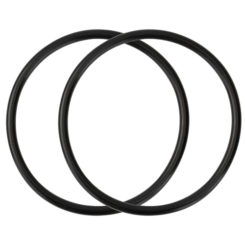 Eiahonen R172009 O-Ring Compatible with Pentair Rainbow Chlorinator Lid for Model 300/320 Pool and Spa Chlorinator (2 Pack)