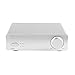 TOPPING PA3 Desktop HiFi Digital Amplifier (Silver)