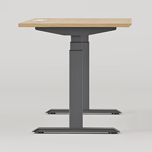 Image of Branch Standing Desk, Adjustable Height Desk with Dual Motors | 3-Stage Lift, 4 Memory Presets, 48 Inches, Charcoal Base and Woodgrain Top