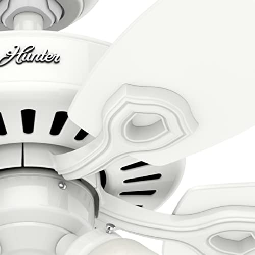 Hunter Fan Company 53236 Hunter Builder Plus Indoor Ceiling Fan With Lights And Pull Chain Control, 52", Snow White Finish #TOP6