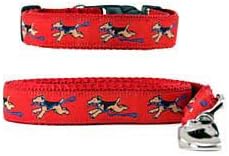 Collar y correa Airedale Terrier
