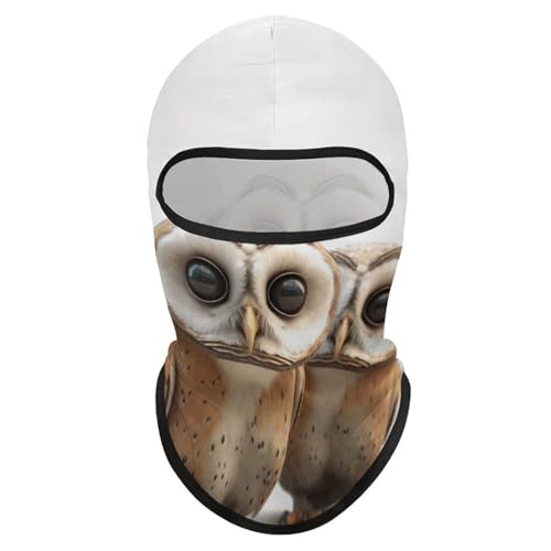 Balaclava para hombres, máscara para esquiar con diseño divertido de búho, cubre cara para ciclismo en invierno miniatura 1