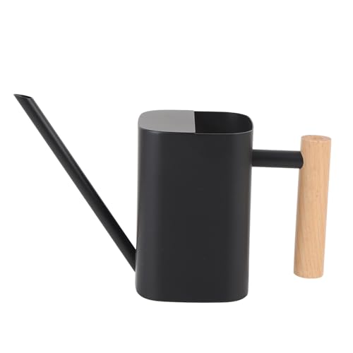 Arrosoir à long bec pour arroser les bonsaïs sans déborder