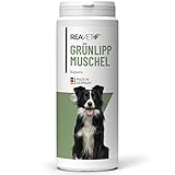 ReaVET Grünlippmuschel Hund I Grünlippmuschel Kapseln Hund I 300 Stück – Grünlippmuschelextrakt für Hunde, nach behandelter Arthrose Arthritis I Gelenktabletten mit Grünlippmuschelpulver