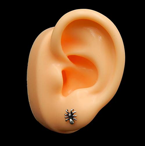 925 Sterling Silver Small Halloween Spooky Spider Stud Earrings 115392