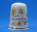 Limitiert auf eine Auflage Birchcroft Fingerhut aus Porzellan, Sammlerstück, Blume des Monats Dezember, Kuppelbox