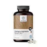 HealthyWorld® Fadogia Agrestis - 120 Kapseln - Für Männer - Pflanzenkapseln - Hochkonzentriert, 1000 mg pro Tagesdosis - Verhältnis 10:1 - Beliebt bei Sportlern