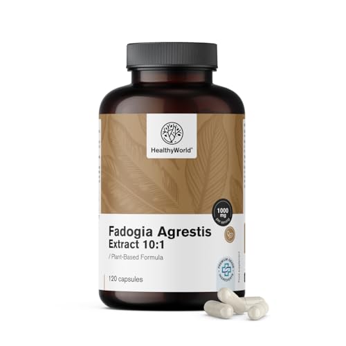 HealthyWorld Fadogia Agrestis - 120 Kapseln - Für Männer - Pflanzenkapseln - Hochkonzentriert 1000 mg pro Tagesdosis - Verhältnis 10:1 - Beliebt bei Sportlern