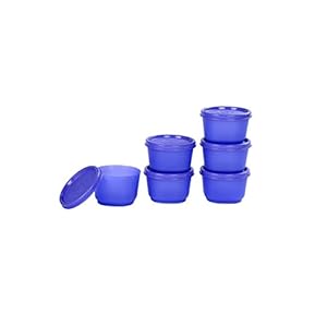 Signoraware Mini Fresh Container Set, 130ml, Set of 6, Deep Violet