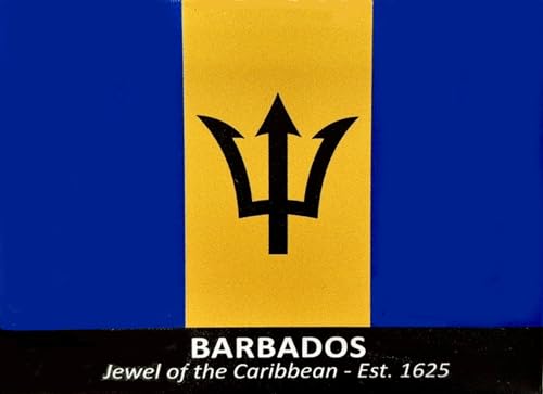Imán decorativo de recuerdo con bandera de Barbados miniatura 1