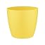 Happy Yellow