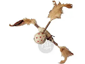 The Pets Company Cat Sisal Mouse & Ball Teaser Toy with Catnip Stick, Interactive Cat Toy with Feather| for Kittens & Cats (Set of 2)