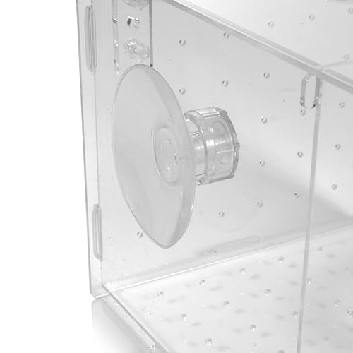 Image of Disco Radical Fish Breeding Box for Tank or Aquarium - Isolation Box and Fish Hatchery Container Kit - Adjustable, Acrylic - Complete with Small Fish Net, Clear
