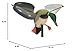 MOJO Outdoors Wind Duck - Premium Waterfowl and Duck Hunting Decoy