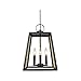 Golden Lighting 3239-4P BLK-CH Abbott - 4 Light Pendant, Shade or Glass Options: Chrome Mesh Shade