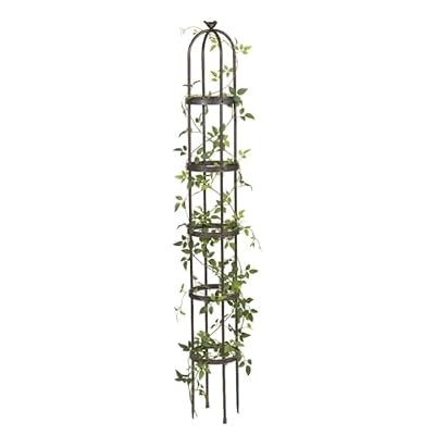 Evergreen 7 Feet Garden Metal Garden Obelisk Trellis for Climbing Plants Outdoor | Indoor Plant Trellis for Potted Plants | Floral Pattern Arch Trellis | Antique Copper