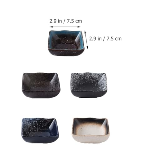 Assiettes à sushi sans odeur : lot de 5 plats en céramique réutilisables