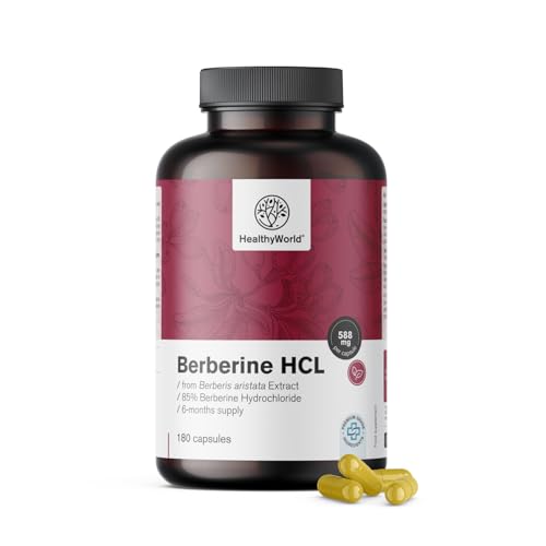 HealthyWorld® Berberin HCL 500 mg - Blutzucker- und Triglyceridunterstützung - Glukosekontrolle - 180 Pflanzenkapseln, 6 Monatsvorrat - Berberis Aristata Extrakt - Hochdosiert