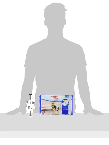 Image of Four Paws Wee-Wee Disposable Dog Diapers, Large, 12 Count | Protects against leaks, dog incontinence, marking, great for puppy training & travel, over 19 inch waist
