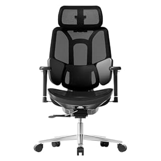 Hbada E3 Air Ergonomic Office Chair with Dynamic Lumbar Support, 3D Adjustable Headrest for Home Office Chair, 3D Adjustable Armrests Desk Chair, Swivel Big and Tall Computer Chair, Black