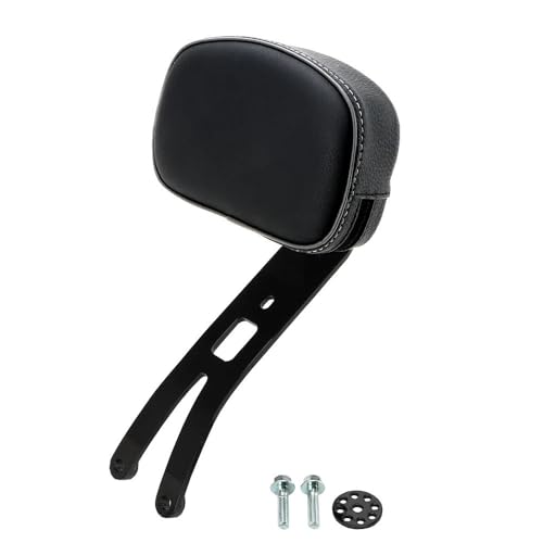 Dossier Passager Coussin de moto contre le mal de dos en Scout Super 2025