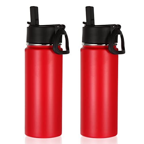 Volhoply 18oz Insulated Water Bottle 2 Pack, Multipack Kids Stainless Steel Water Bottles with Straw Lid