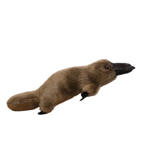 ʂ JmnV  {  킢 傫 Gǂ Q CeA u ̎q  C  NbV ܂ n O[ ˂ނ˂ NX}X a 35cm v[g