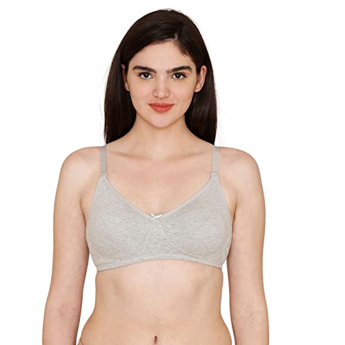 Image of Rosaline Cyber Grove Everyday Double Layered Non Wired 3 /4th Coverage T-Shirt Bra (Pack of 2) for Women - Red Grey