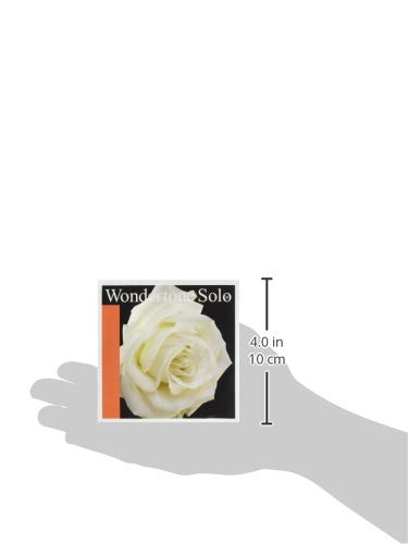【新品】Wondertone Solo ヴァイオリン弦ADG線 新品】Wondertone Solo ヴァイオリン弦ADG線