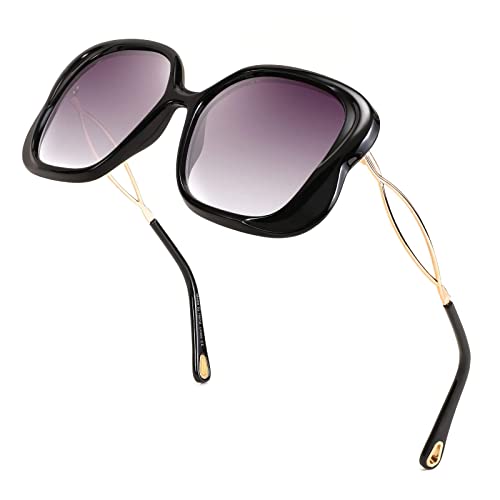 FEISEDY Oversized Butterfly Sunglasses for Women Fashion Charming Ladies Sunglass B2705