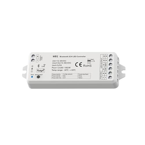 Contrôleur LED 2.4G Bluetooth WB1 12V-36VDC 2CH pour bande monochrome