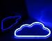 LED Neon Signs Blue Cloud Wall Decorative Night Light for Kids Bedroom Battery and USB Powered Home Decor Neon Light Birthday Gift(NECLDB)