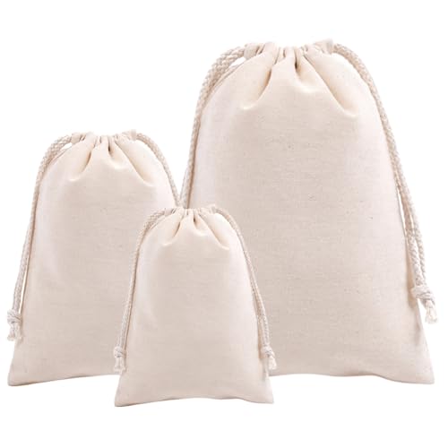 ANAMO z  В n Rbg 3 i`x[W (SML e1)