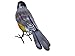 Small 5.5 Inch x 8 Inch Rustic Spring Robin Red Breast Metal Tin Song Bird Figurine Statue