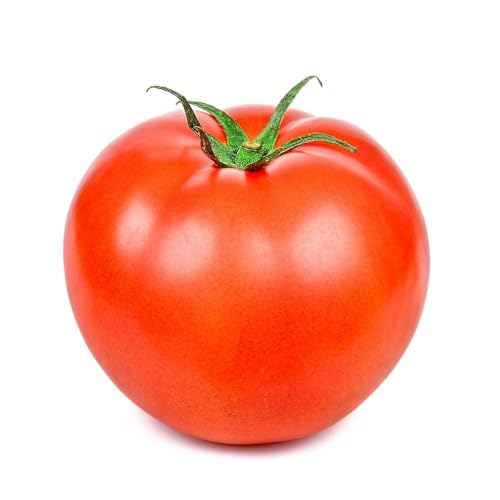 おかざき農園 リサフルーツトマト 約2kg 先行予約 2025年1月〜発送 トマト とまと フルーツトマト 野菜