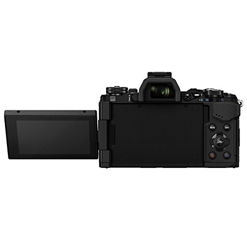 Olympus OM-D E-M5 Mark II Kit, Micro Four Thirds Systemkamera (16.1 Megapixel, 5-Achsen Bildstabilisator, elektronischer Sucher) + M.Zuiko 12-40mm PRO Universalzoom, schwarz