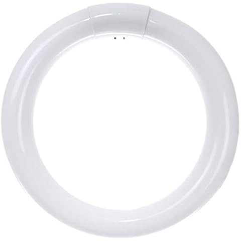 Sunlite 41314 FC8T9/DL 8-Inch T9 Round Fluorescent Circline Lamp, 22 Watts, 1050 Lumens, 6500K Daylight, G10Q 4-Pin Base, 1 Pack Cover