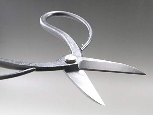 Amazon | 兼進作 盆栽道具 盆栽鋏 青紙（青鋼） No.40F | 園芸用はさみ