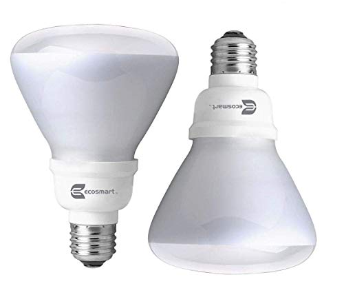 EcoSmart Soft White BR30 CFL Light Bulb, 65W Equivalent 2 Pack