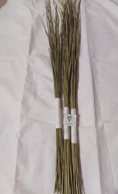 VVOS® Dharbha Grass (Dharbha Pul/Halfa Grass/Kusha Grass) for Pooja Karma | Pack of 3 Bundles | Long Size Dry Grass for Rituals (B099J8J6ZK) Amazon Price History, Amazon Price Tracker