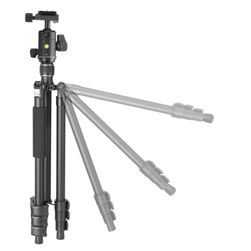 Image of Vanguard Vesta GO 264AB Aluminum Travel Tripod with VEO BH-60 Ball Head