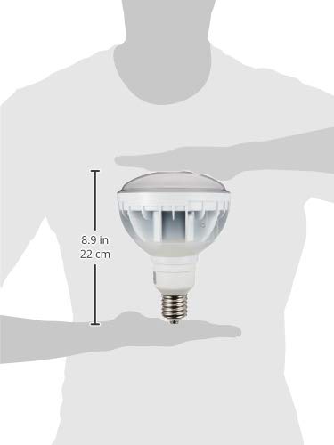 IWASAKI LEDアイランプ LDR33N-H/E39W750 33W 岩崎電気 LEDioc LEDアイランプ 33W LDR33N-H/E39W750 （昼白色
