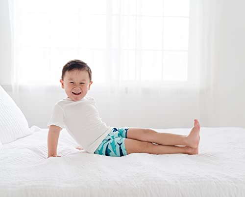 Kickee Pants Boy’s Boxer Brief Underwear, Silky Soft Printed Boxer Briefs For Boys And Kids, Lightweight And Breathable (Summer Sky Shark - Xs-5/6) #TOP1