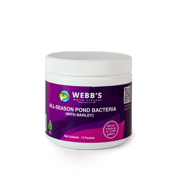 Webb's Water Gardens Całoroczne bakterie stawowe z paczkami jęczmienia – nośność do 2000 galonów – 12 opakowań dla łatwego nakładania – 2,3 kg – idealne do oczyszczania wody w stawie i utrzymania