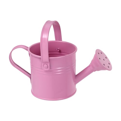 TOYANDONA Regadera para Plantas Flores Pequeña De Metal para Interiores Bonita De Hierro Galvanizado Color Rosa