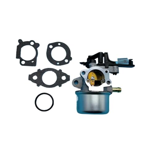 Carburateur de rechange 591137 contre les fuites d'essence
