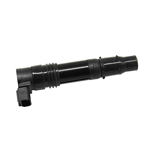 Amazon | HZYCKJ イグニッションスティックコイル OEM # 21171
