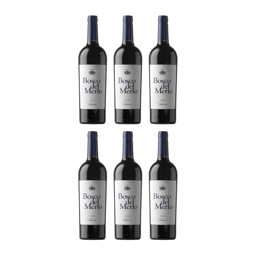 Bosco del Merlo Syrah Seduzione trocken Rotwein Italien inkl. FeinWert E-Book (6 x 0.75 l)