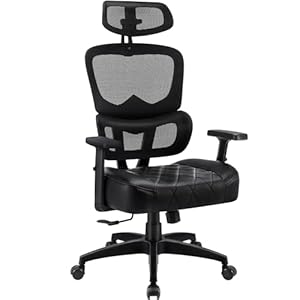 VECELO Swivel Ergonomic High Back Mesh Office Chair with Adjustable Headrest Armrest, Backrest Tilt Function, Lumbar Support for Executive/Computer Desk/Task Work